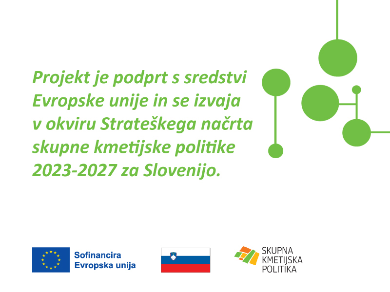 Pasica za objavo FB in Instagram