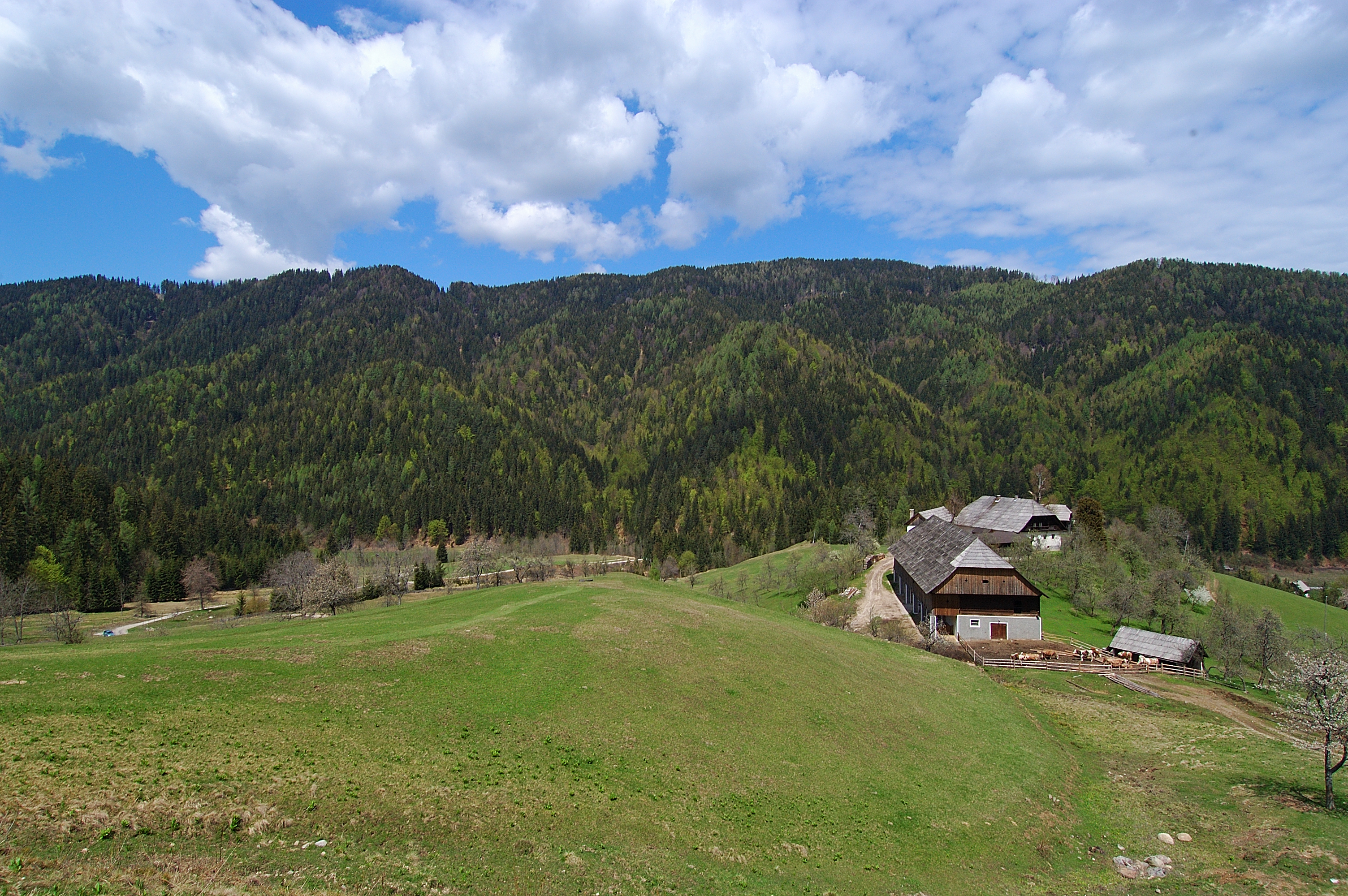osojnik panorama1