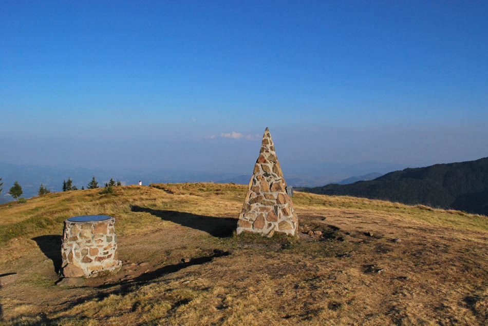 smrekovec